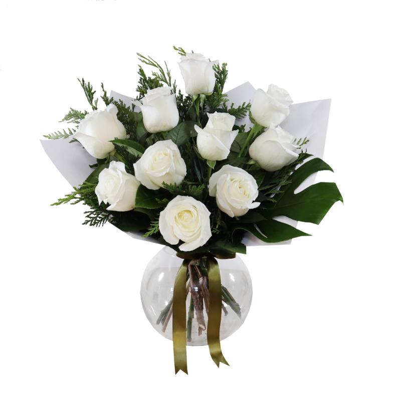 Hoa hồng trắng Hoa hồng trắng