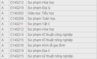Khối A có tới 18 khối thi dành cho các thí sinh lựa chọn.