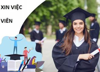 Cách viết mẫu đơn xin việc cho sinh viên chưa tốt nghiệp