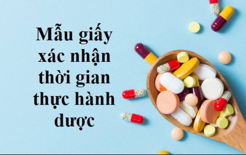 mẫu giấy xác nhận thời gian thực hành dược