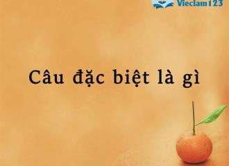 Câu đặc biệt là gì