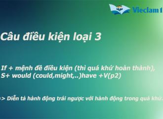 Câu điều kiện loại 3