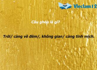 Câu ghép là gì? Cách xác định câu ghép trong tiếng Việt