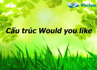 Cấu trúc Would you like