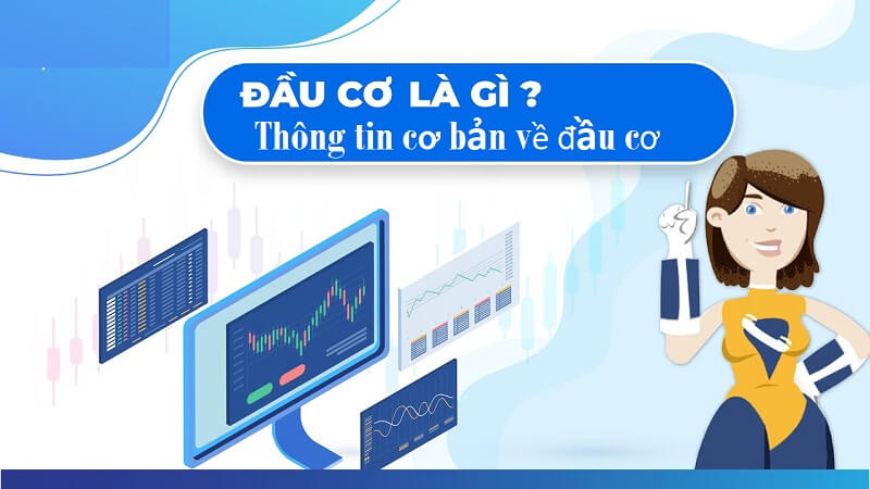 đầu cơ là gì