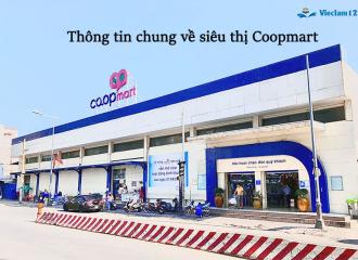 Kinh nghiệm phỏng vấn xin việc Coopmart mới nhất