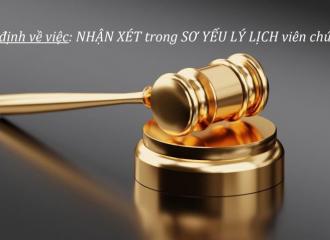 nhận xét sơ yếu lý lịch viên chức