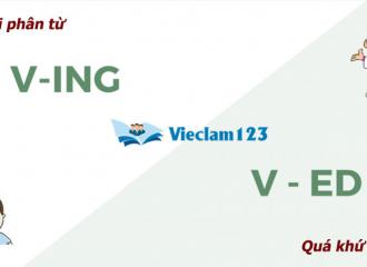 Quá khứ phân từ