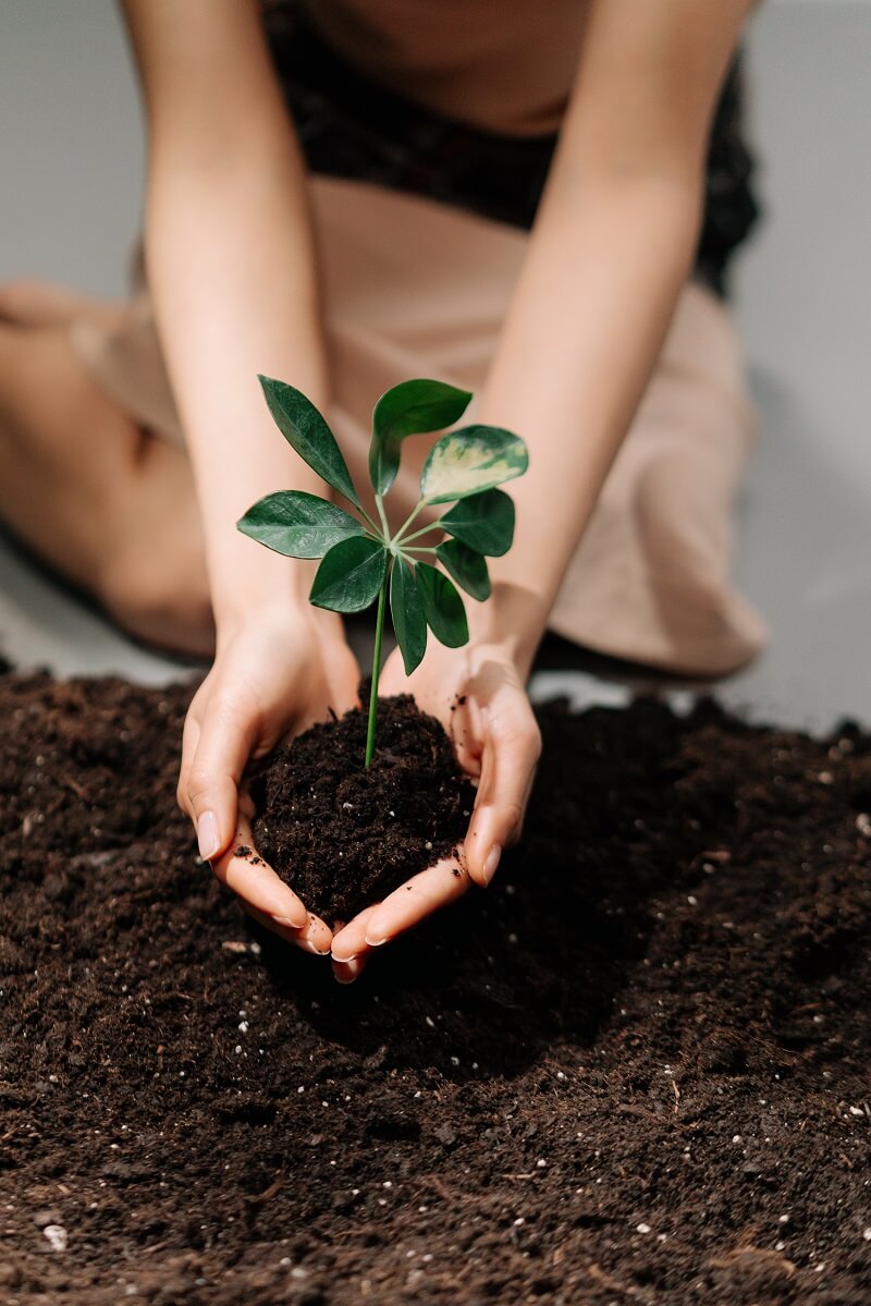 Ngành quản lý đất đai là gì và cơ hội việc làm ra sao?