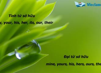 Tính từ sở hữu