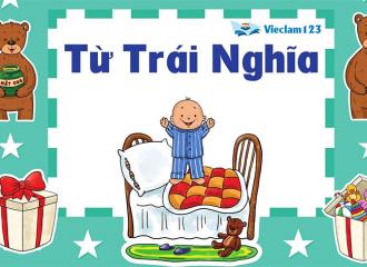 Từ trái nghĩa tiếng Anh 