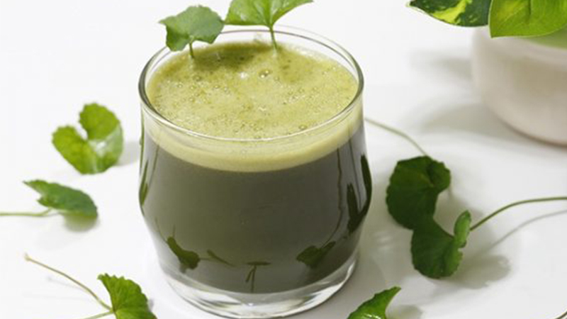 uống rau má nhiều có tốt không