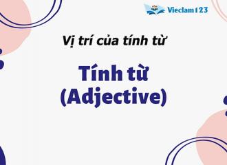 Vị trí của tính từ