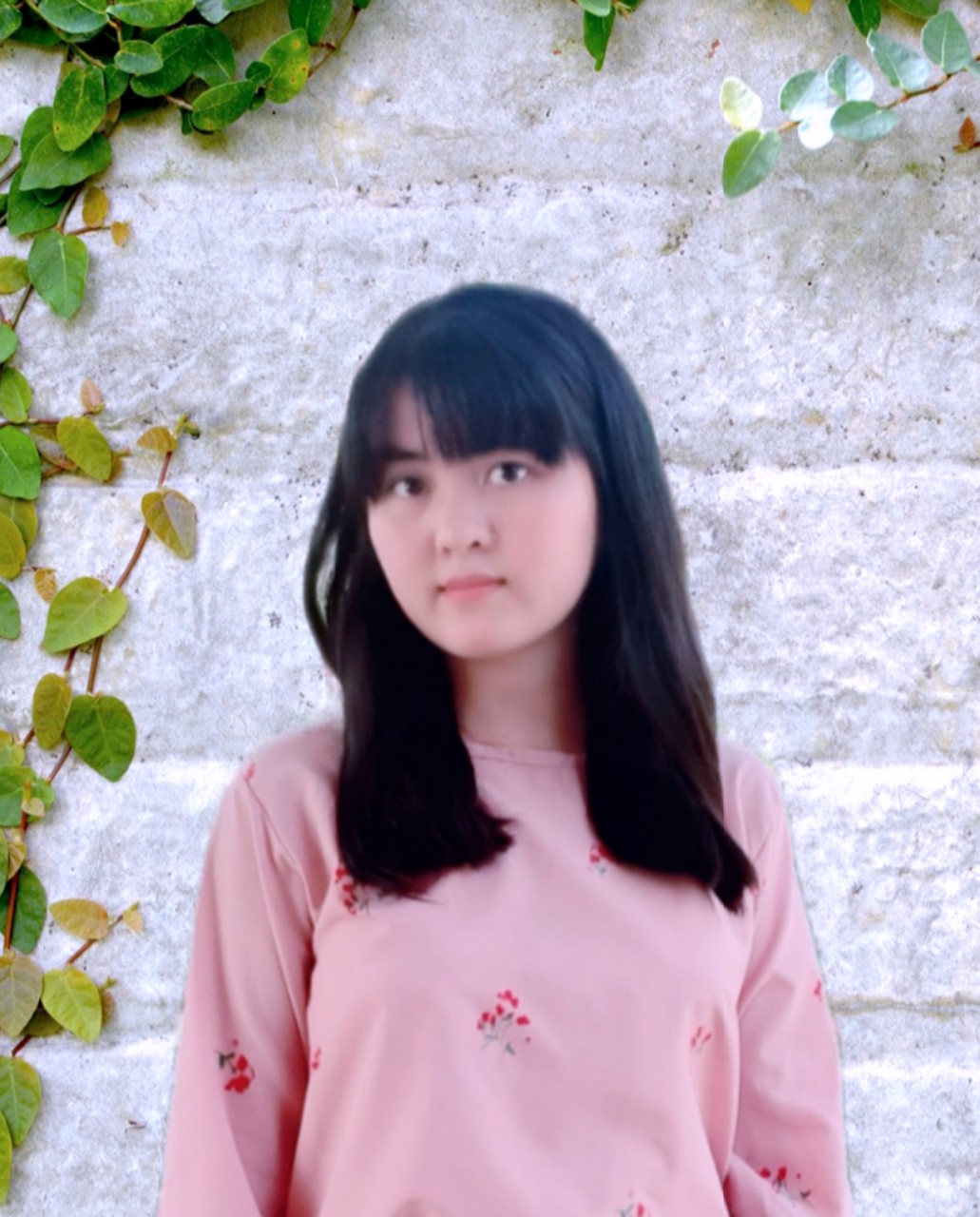 Duong Linh Dan