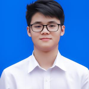 Trần Việt Hoàng