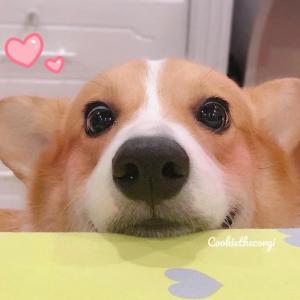 Nguyễn Đình Sáng