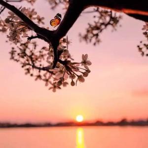 Đinh Thị Kim Ngân