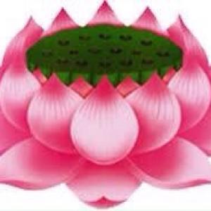 NGUYỄN HỮU TUYỀN