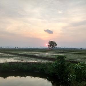 Nguyễn Thị Liên 