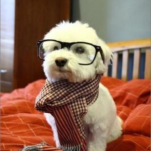 Nguyễn Như Quỳnh