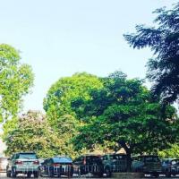 Nguyễn Thị Huyền Trang