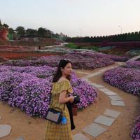 Nguyễn Ngọc trang 