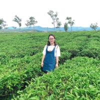 Phạm Thị Ngọc Ánh