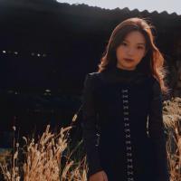 Nguyễn Phương Dung 