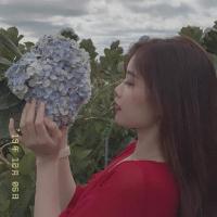 Nguyễn Phương Thảo