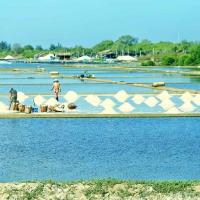 nguyễn thị thanh thảo