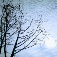 Nguyễn Thanh Thảo