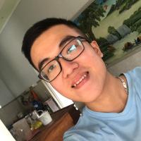 trương việt hoàng