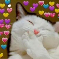 từ đặng linh linh