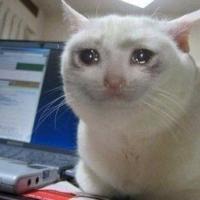 Trần Phương Linh