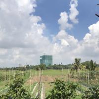 Trần Thị Thuý Hằng 